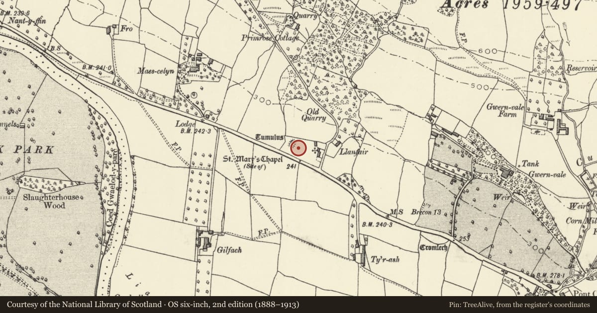 Ordnance Survey six-inch map, 2nd edition (1888–1913) covering the location of Maes-Celyn Castle Mound, Crickhowell, Powys, with a pin at the register's coordinates