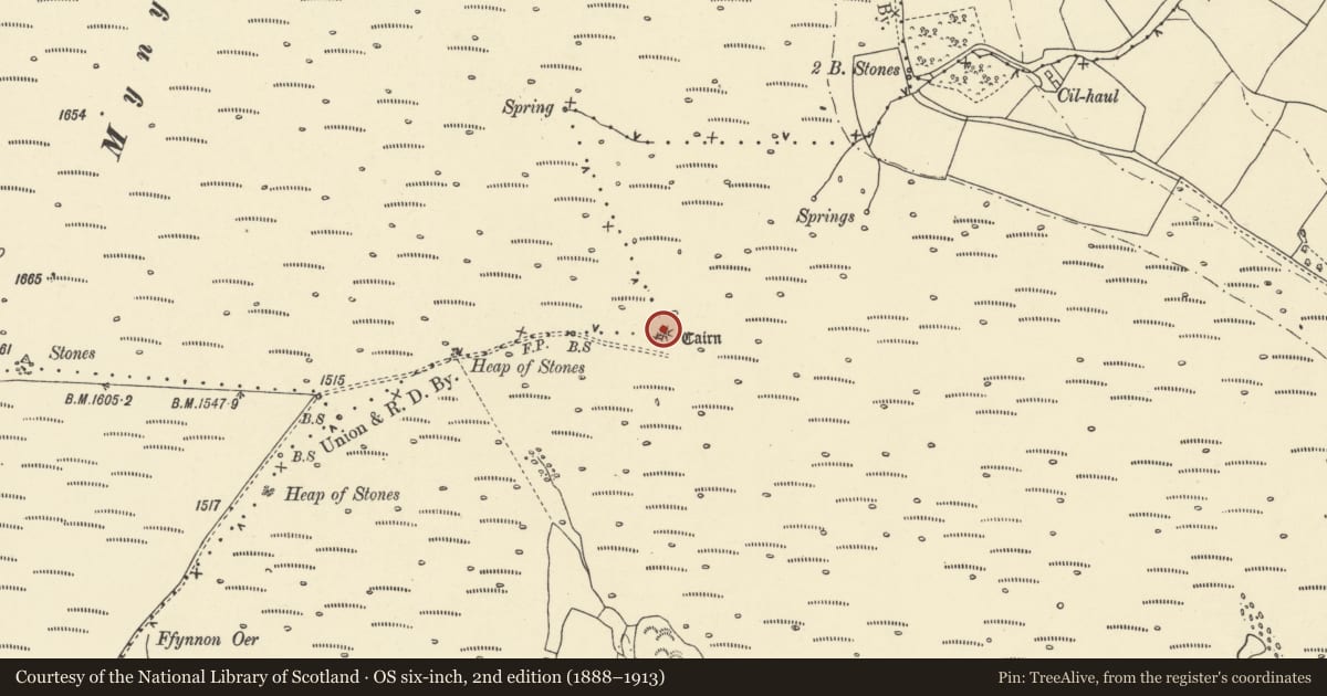 Ordnance Survey six-inch map, 2nd edition (1888–1913) covering the location of Mynydd Llangorse Cairn, Powys, with a pin at the register's coordinates