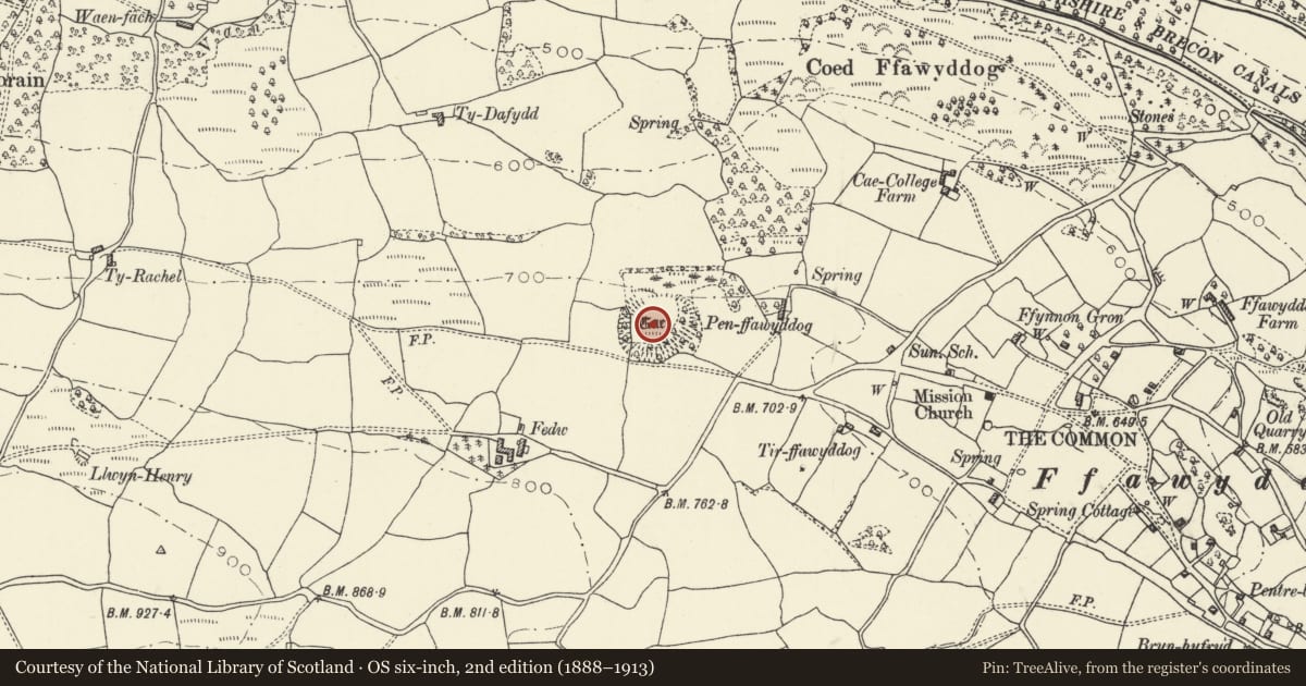 Ordnance Survey six-inch map, 2nd edition (1888–1913) covering the location of Ffawyddog Gaer, Llangattock, Powys, with a pin at the register's coordinates