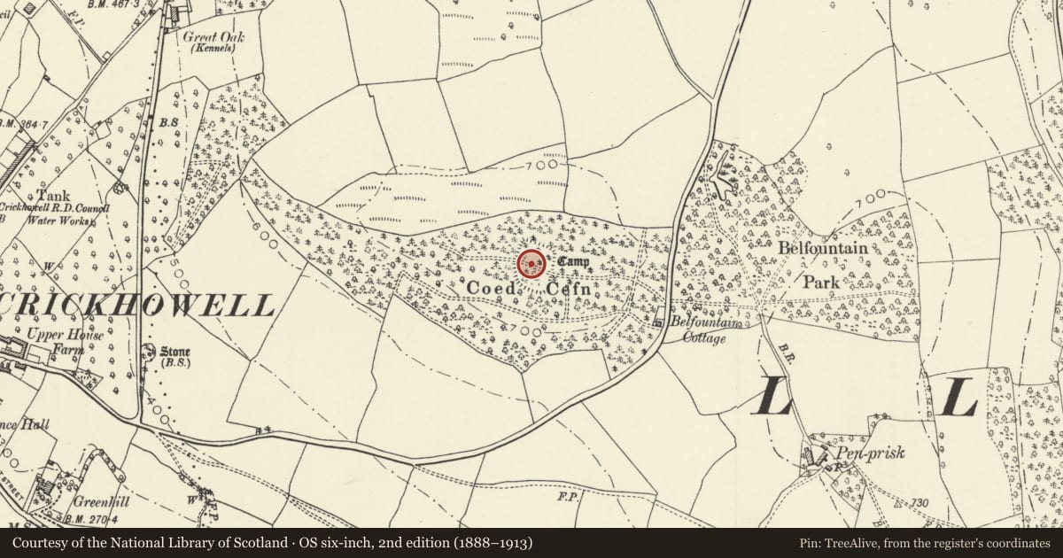 Ordnance Survey six-inch map, 2nd edition (1888–1913) covering the location of Coed Cefn hillfort, The Vale of Grwyney, Powys, with a pin at the register's coordinates