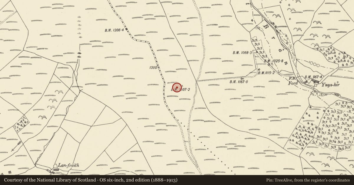 Ordnance Survey six-inch map, 2nd edition (1888–1913) covering the location of Stone Circle and Round Cairn W of Ynyshir, Trallong, Powys, with a pin at the register's coordinates