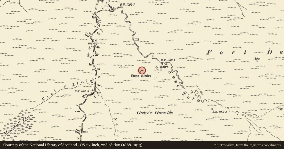Ordnance Survey six-inch map, 2nd edition (1888–1913) covering the location of Nant Tarw Stone Circles, Llywel, Powys, with a pin at the register's coordinates