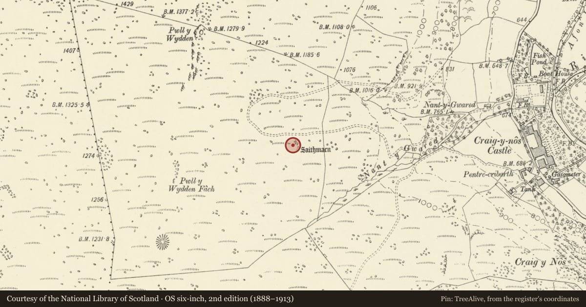 Ordnance Survey six-inch map, 2nd edition (1888–1913) covering the location of Saith Maen, Tawe-Uchaf, Powys, with a pin at the register's coordinates