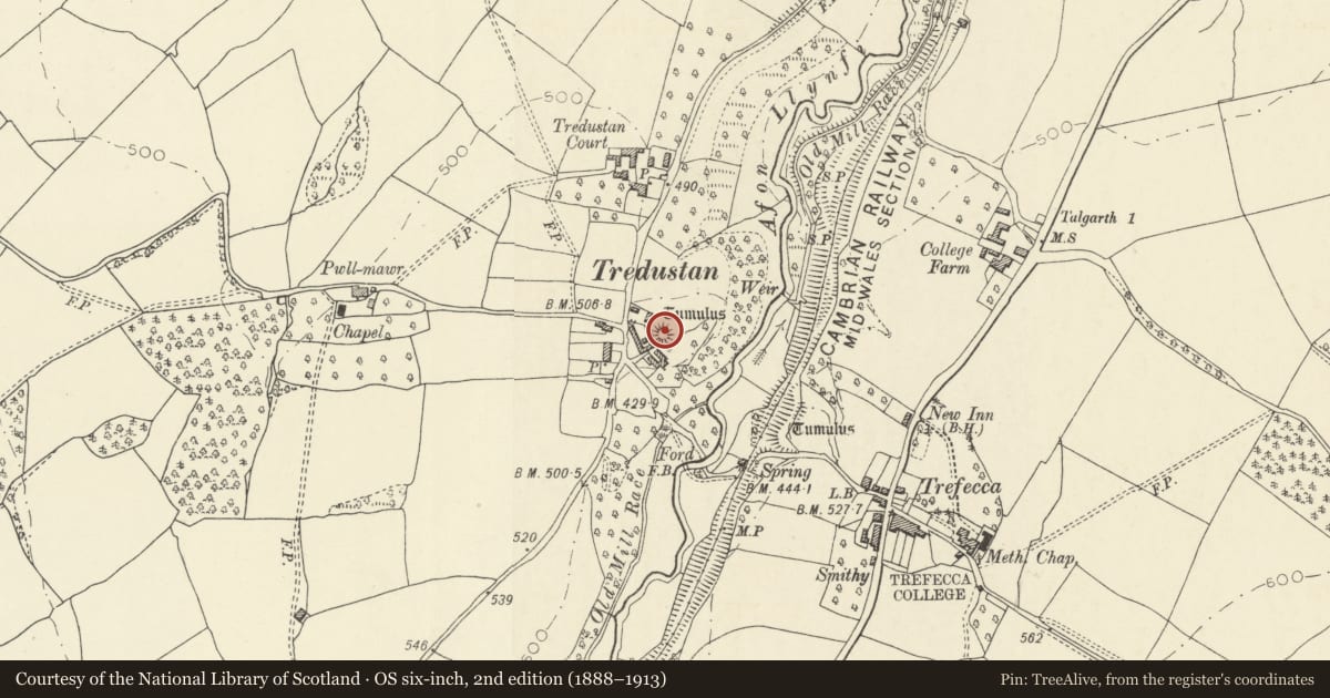 Ordnance Survey six-inch map, 2nd edition (1888–1913) covering the location of Tredustan Castle Mound, Talgarth, Powys, with a pin at the register's coordinates