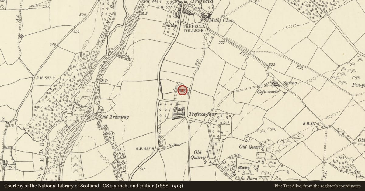 Ordnance Survey six-inch map, 2nd edition (1888–1913) covering the location of Trefecca Fawr Garden Earthworks, Talgarth, Powys, with a pin at the register's coordinates
