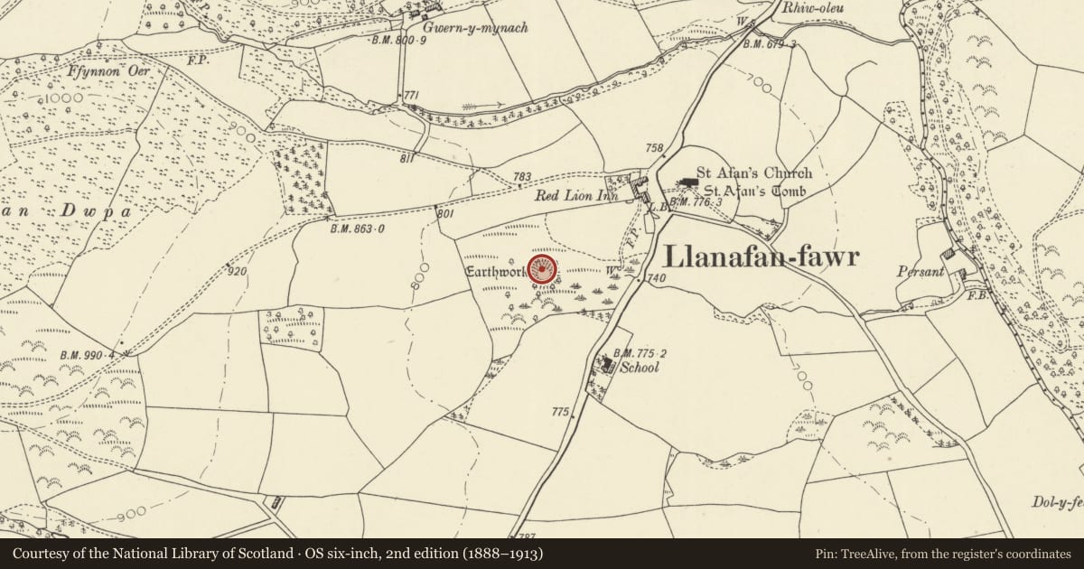 Ordnance Survey six-inch map, 2nd edition (1888–1913) covering the location of Earthworks SW of Church, Llanafanfawr, Powys, with a pin at the register's coordinates