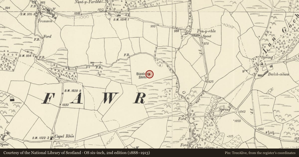 Ordnance Survey six-inch map, 2nd edition (1888–1913) covering the location of Standing Stone NE of Capel Rhos, Llanafanfawr, Powys, with a pin at the register's coordinates