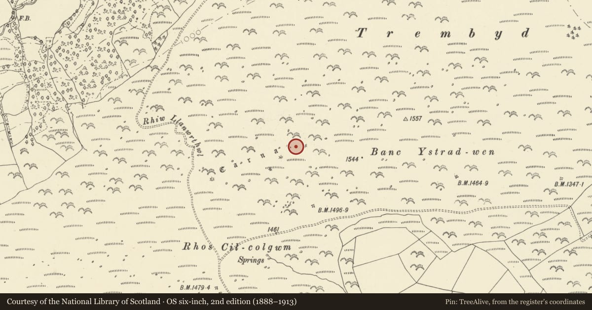Ordnance Survey six-inch map, 2nd edition (1888–1913) covering the location of Banc Ystrad-wen cairn cemetery, Llanwrthwl, Powys, with a pin at the register's coordinates