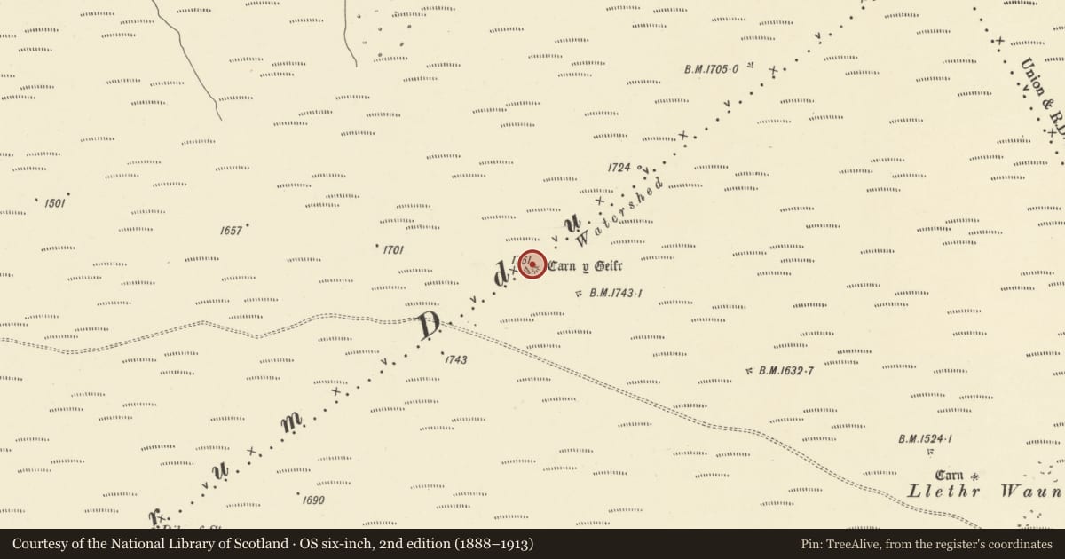 Ordnance Survey six-inch map, 2nd edition (1888–1913) covering the location of Carn-y-Geifr, Llanafanfawr, Powys, with a pin at the register's coordinates