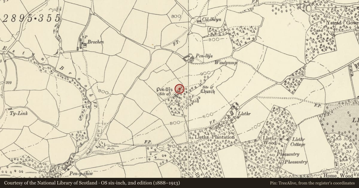 Ordnance Survey six-inch map, 2nd edition (1888–1913) covering the location of Pen-llys Earthwork, Llanafanfawr, Powys, with a pin at the register's coordinates