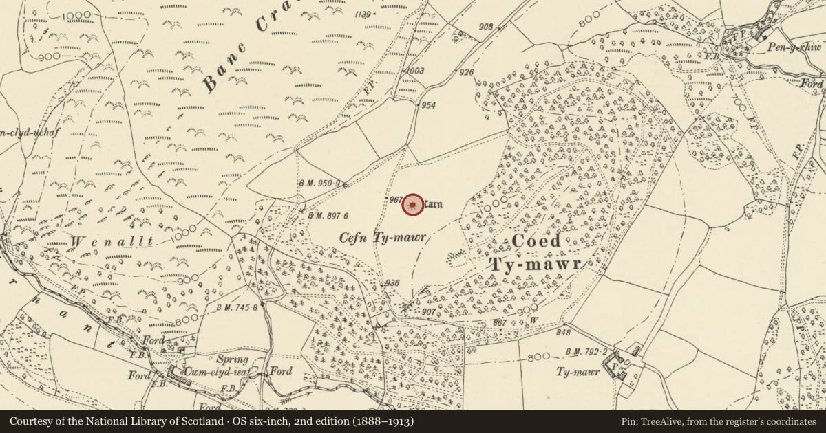 Ordnance Survey six-inch map, 2nd edition (1888–1913) covering the location of Cefn Ty-Mawr, Llanafanfawr, Powys, with a pin at the register's coordinates