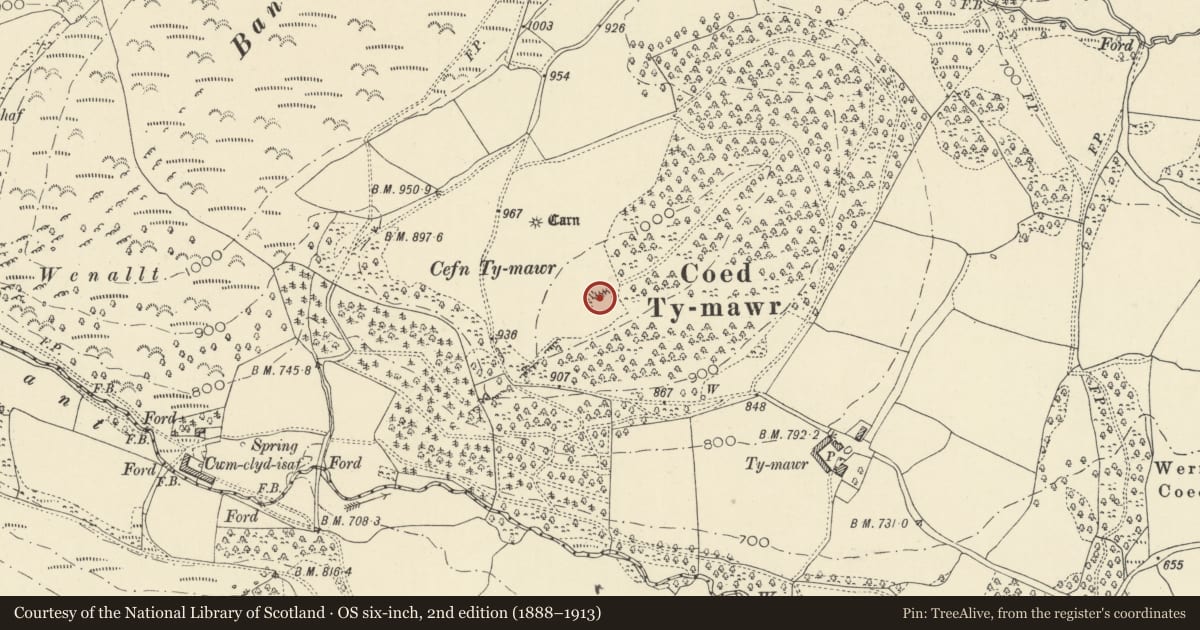 Ordnance Survey six-inch map, 2nd edition (1888–1913) covering the location of Ringwork near Coed Ty-Mawr, Llanafanfawr, Powys, with a pin at the register's coordinates