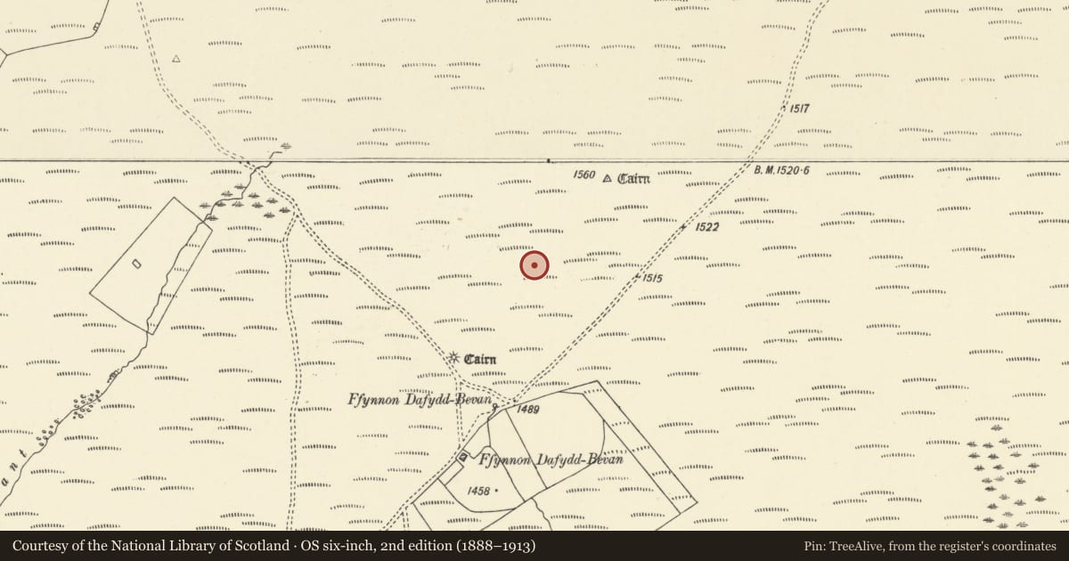 Ordnance Survey six-inch map, 2nd edition (1888–1913) covering the location of Round Barrows N & NE of Ffynnon Dafydd-Bevan, Llangamarch, Powys, with a pin at the register's coordinates
