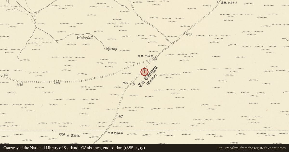 Ordnance Survey six-inch map, 2nd edition (1888–1913) covering the location of Tri Chrugiau Round Barrows, Llangamarch, Powys, with a pin at the register's coordinates