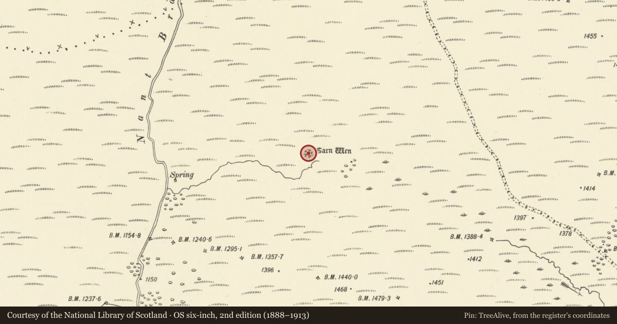 Ordnance Survey six-inch map, 2nd edition (1888–1913) covering the location of Garn Wen Round Cairn, Trallong, Powys, with a pin at the register's coordinates