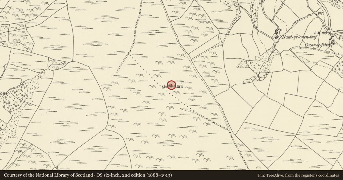 Ordnance Survey six-inch map, 2nd edition (1888–1913) covering the location of Round Cairn 800m SW of Gwar-y-Felin, Maescar, Powys, with a pin at the register's coordinates