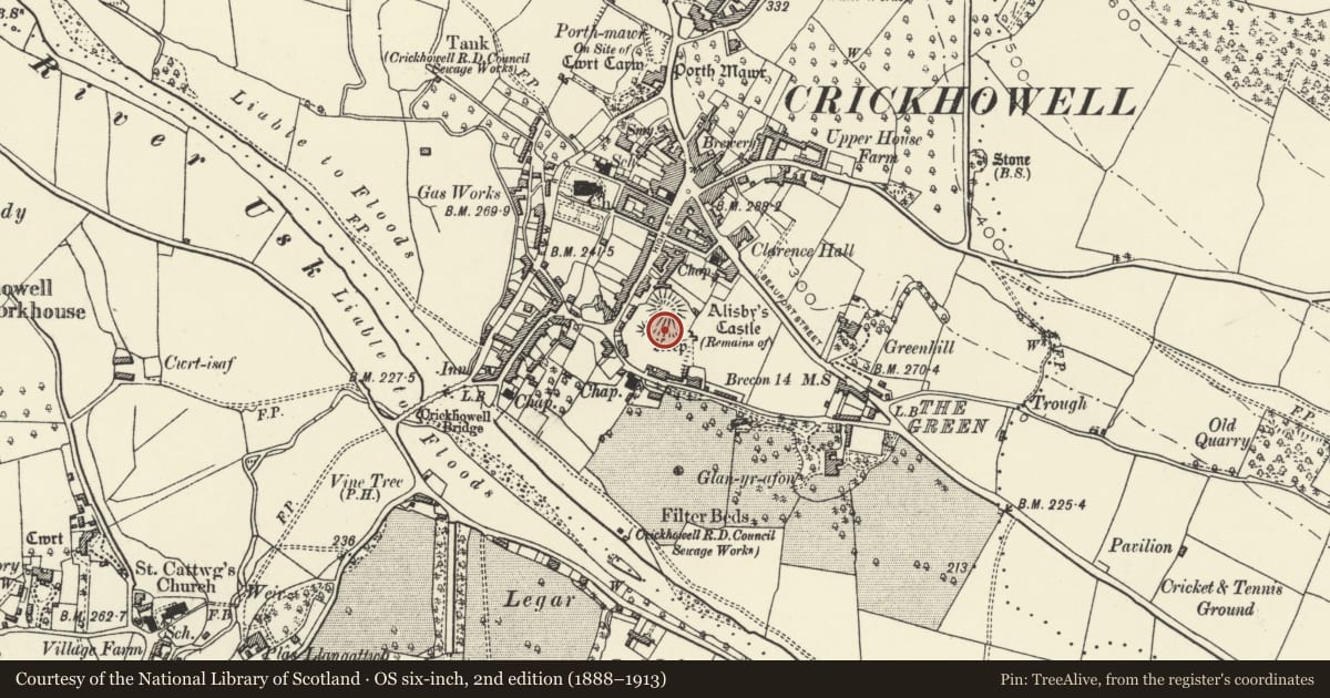 Ordnance Survey six-inch map, 2nd edition (1888–1913) covering the location of Crickhowell Castle, Powys, with a pin at the register's coordinates