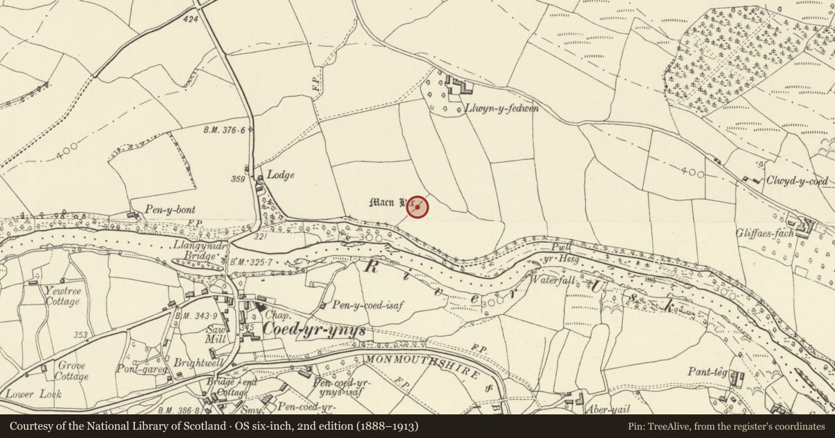 Ordnance Survey six-inch map, 2nd edition (1888–1913) covering the location of Llwyn-y-Fedwen Standing Stone, Llanfihangel Cwmdu with Bwlch and Cathedine, Powys, with a pin at the register's coordinates