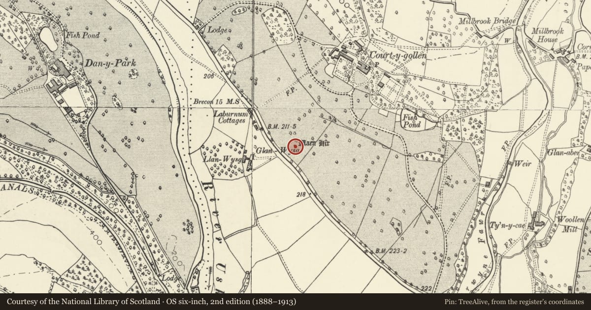Ordnance Survey six-inch map, 2nd edition (1888–1913) covering the location of Cwrt-y-Gollen Standing Stone, The Vale of Grwyney, Powys, with a pin at the register's coordinates