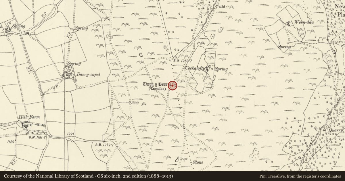 Ordnance Survey six-inch map, 2nd edition (1888–1913) covering the location of Twyn-y-Beddau Round Barrow, Llanigon, Powys, with a pin at the register's coordinates