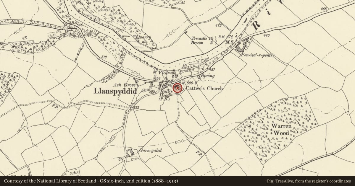 Ordnance Survey six-inch map, 2nd edition (1888–1913) covering the location of Cross-Slab in Churchyard, Glyn Tarell, Powys, with a pin at the register's coordinates