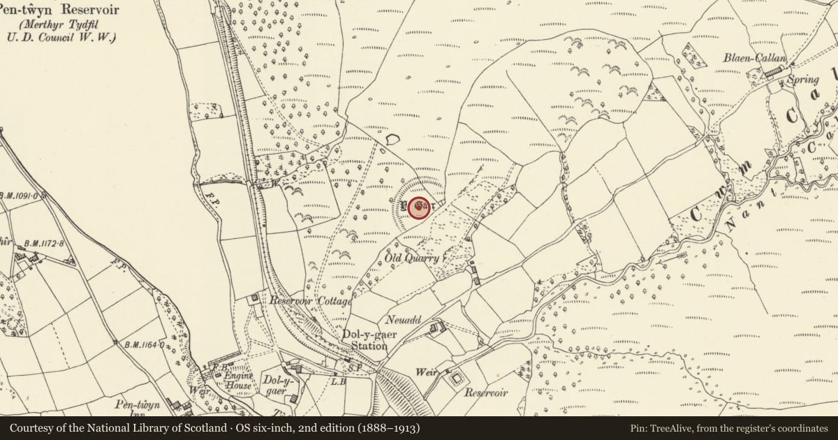 Ordnance Survey six-inch map, 2nd edition (1888–1913) covering the location of Y Gaer, Dol-y-Gaer, Talybont-on-Usk, Powys, with a pin at the register's coordinates