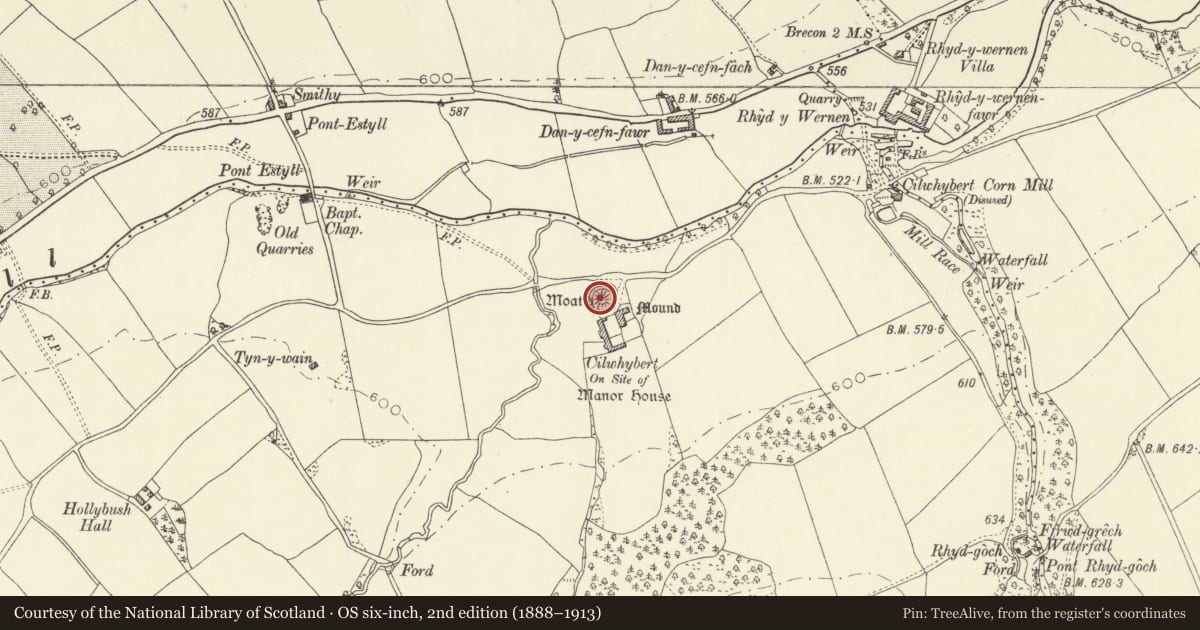 Ordnance Survey six-inch map, 2nd edition (1888–1913) covering the location of Cilwhybert Castle Mound, Glyn Tarell, Powys, with a pin at the register's coordinates