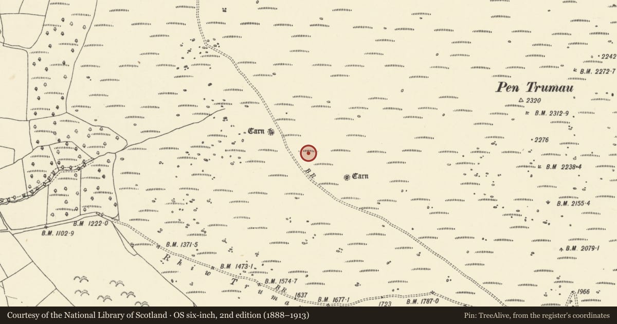 Ordnance Survey six-inch map, 2nd edition (1888–1913) covering the location of Pen Trumau Round Cairns, Talgarth, Powys, with a pin at the register's coordinates