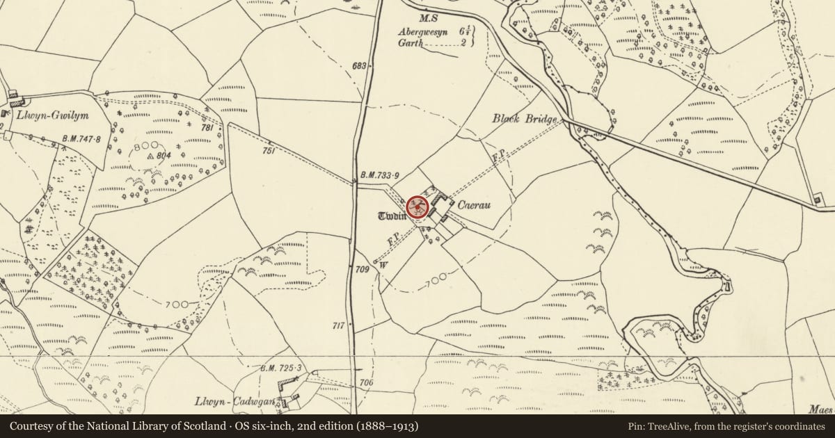 Ordnance Survey six-inch map, 2nd edition (1888–1913) covering the location of Caerau Castle Mound, Treflys, Powys, with a pin at the register's coordinates