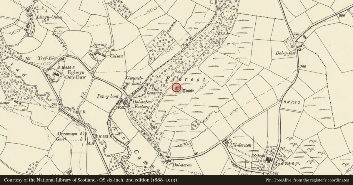 Ordnance Survey six-inch map, 2nd edition (1888–1913) covering the location of Fforest Castle Mound, Treflys, Powys, with a pin at the register's coordinates