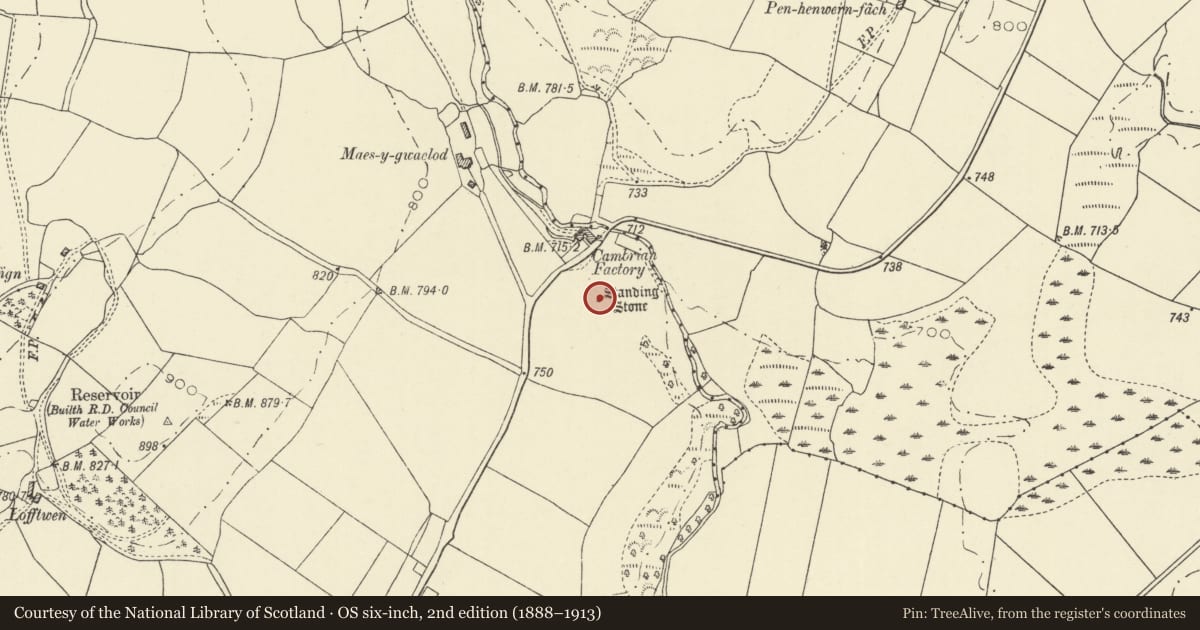 Ordnance Survey six-inch map, 2nd edition (1888–1913) covering the location of Cambrian Factory Standing Stone, Llanwrtyd Wells, Powys, with a pin at the register's coordinates