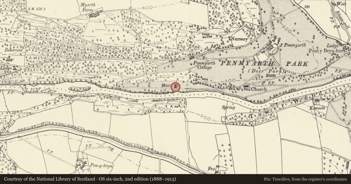 Ordnance Survey six-inch map, 2nd edition (1888–1913) covering the location of Penmyarth Standing Stone, Llanfihangel Cwmdu with Bwlch and Cathedine, Powys, with a pin at the register's coordinates