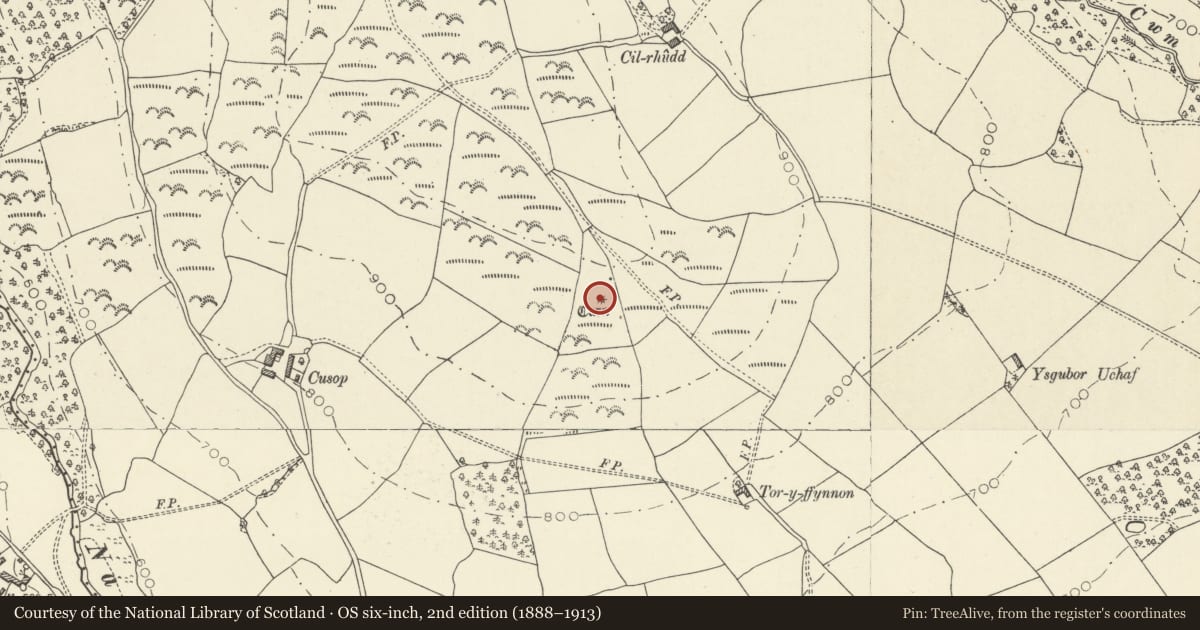 Ordnance Survey six-inch map, 2nd edition (1888–1913) covering the location of Aberyscir Round Cairn, Powys, with a pin at the register's coordinates