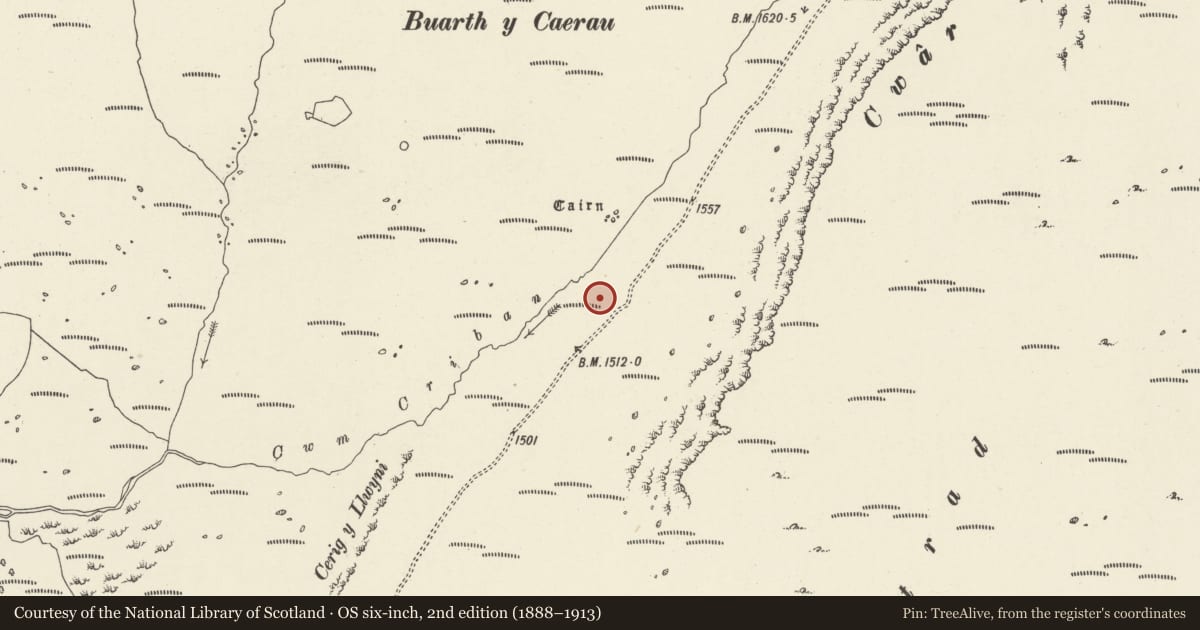 Ordnance Survey six-inch map, 2nd edition (1888–1913) covering the location of Ponsticill Inscribed Stone, Talybont-on-Usk, Powys, with a pin at the register's coordinates