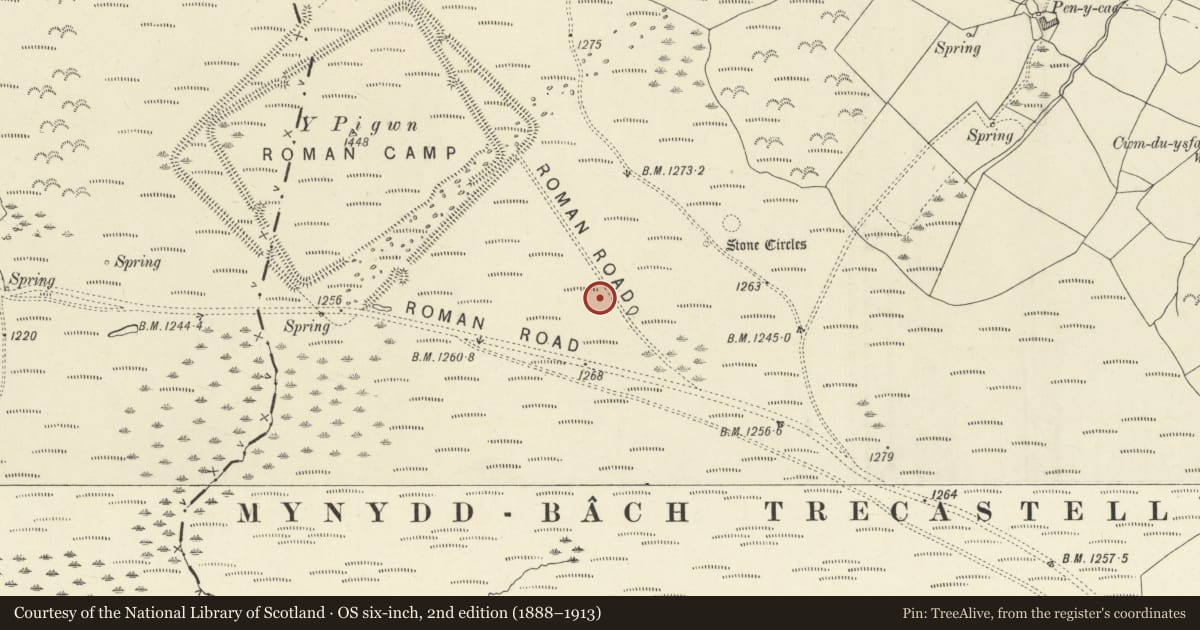 Ordnance Survey six-inch map, 2nd edition (1888–1913) covering the location of Mynydd Bach-Trecastell Round Cairn, Llywel, Powys, with a pin at the register's coordinates