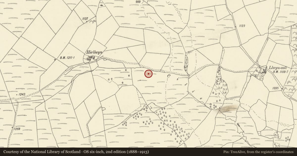 Ordnance Survey six-inch map, 2nd edition (1888–1913) covering the location of Hirllwyn Camp, Maescar, Powys, with a pin at the register's coordinates