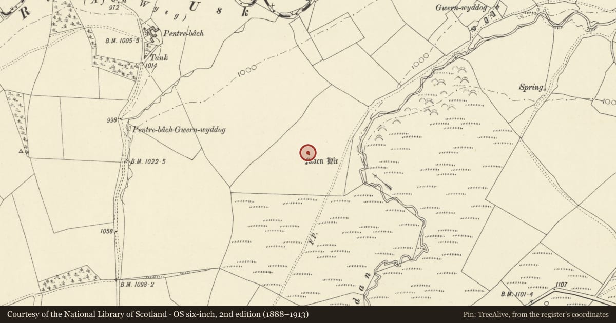 Ordnance Survey six-inch map, 2nd edition (1888–1913) covering the location of Gwern-Wyddog Standing Stone, Llywel, Powys, with a pin at the register's coordinates