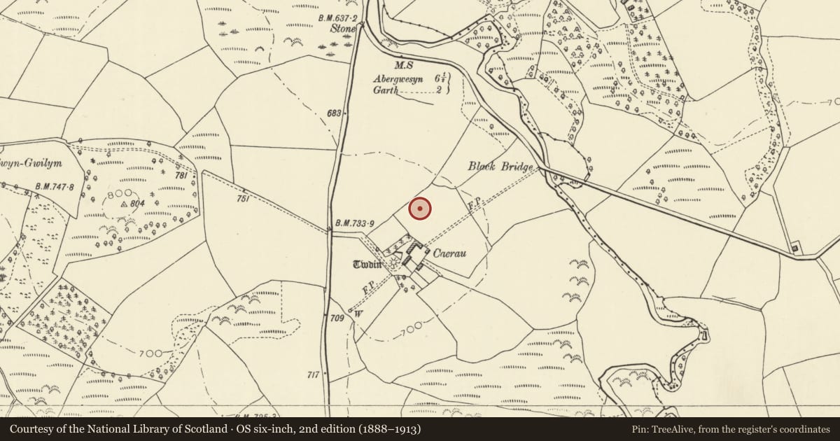 Ordnance Survey six-inch map, 2nd edition (1888–1913) covering the location of Caerau Roman Site, Treflys, Powys, with a pin at the register's coordinates