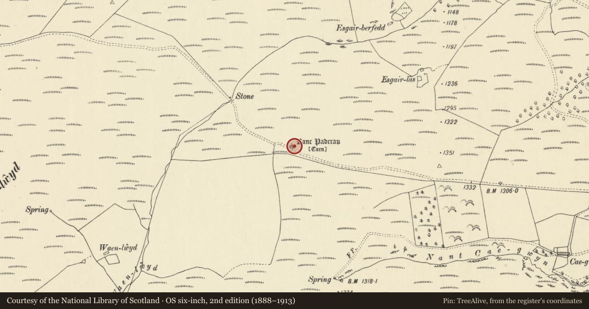 Ordnance Survey six-inch map, 2nd edition (1888–1913) covering the location of Banc Paderau Round Cairn, Treflys, Powys, with a pin at the register's coordinates