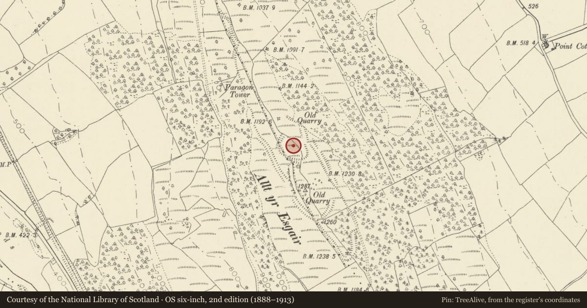 Ordnance Survey six-inch map, 2nd edition (1888–1913) covering the location of Allt yr Esgair Camp, Llangors, Powys, with a pin at the register's coordinates