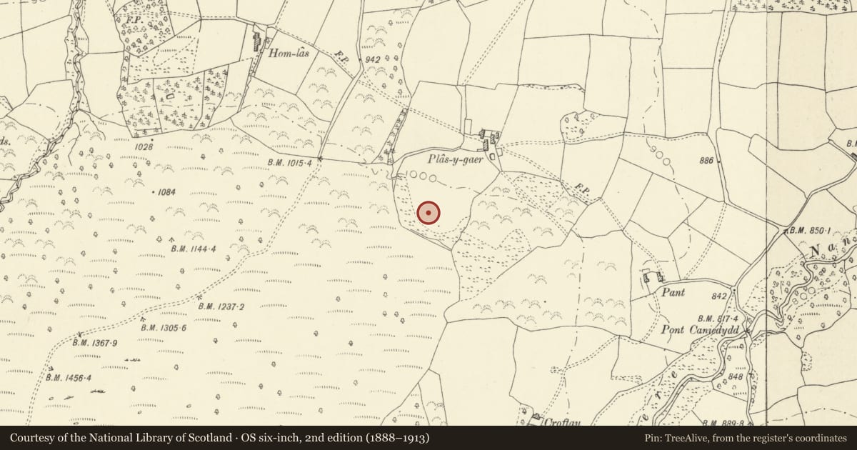 Ordnance Survey six-inch map, 2nd edition (1888–1913) covering the location of Plas-y-Gaer Camp, Llanfrynach, Powys, with a pin at the register's coordinates
