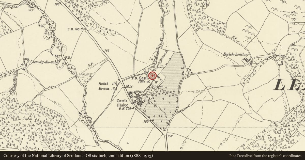 Ordnance Survey six-inch map, 2nd edition (1888–1913) covering the location of Castell Madoc Ringwork, Honddu Isaf, Powys, with a pin at the register's coordinates