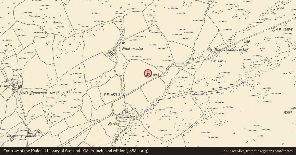 Ordnance Survey six-inch map, 2nd edition (1888–1913) covering the location of Nant-Maden Round Cairn, Hirwaun, Rhondda Cynon Taff, with a pin at the register's coordinates