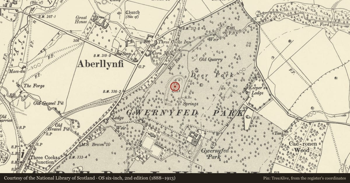 Ordnance Survey six-inch map, 2nd edition (1888–1913) covering the location of Gwernyfed Park Camp, Powys, with a pin at the register's coordinates