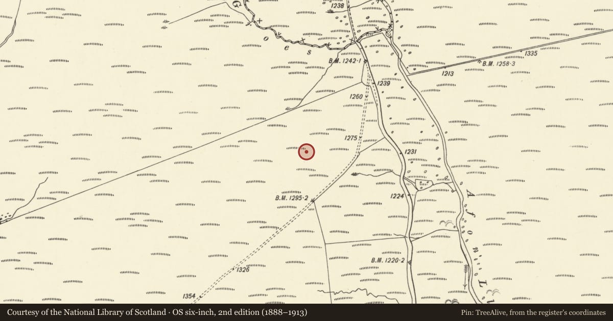 Ordnance Survey six-inch map, 2nd edition (1888–1913) covering the location of Roman Marching Camp NE of Maen Madog, Ystradfellte, Powys, with a pin at the register's coordinates
