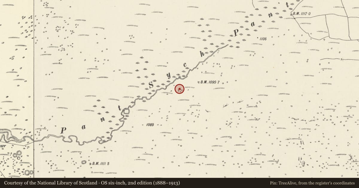 Ordnance Survey six-inch map, 2nd edition (1888–1913) covering the location of Pant Sychbant Round Cairn, Hirwaun, Rhondda Cynon Taff, with a pin at the register's coordinates