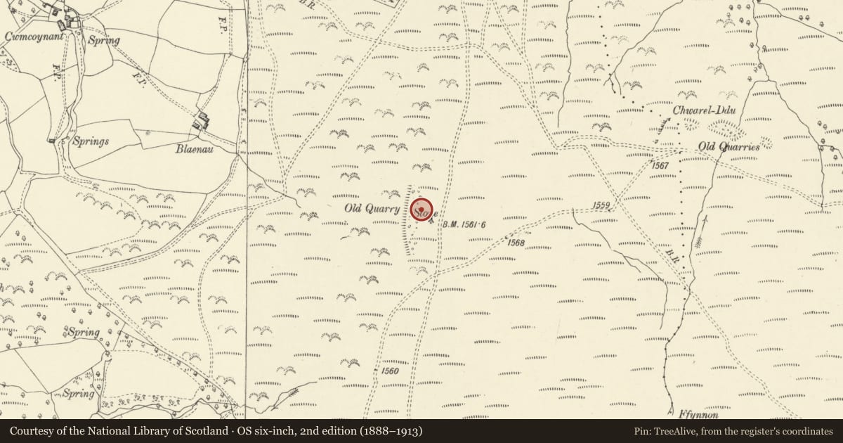 Ordnance Survey six-inch map, 2nd edition (1888–1913) covering the location of Remains of Blaenau Stone Circle, Llanigon, Powys, with a pin at the register's coordinates