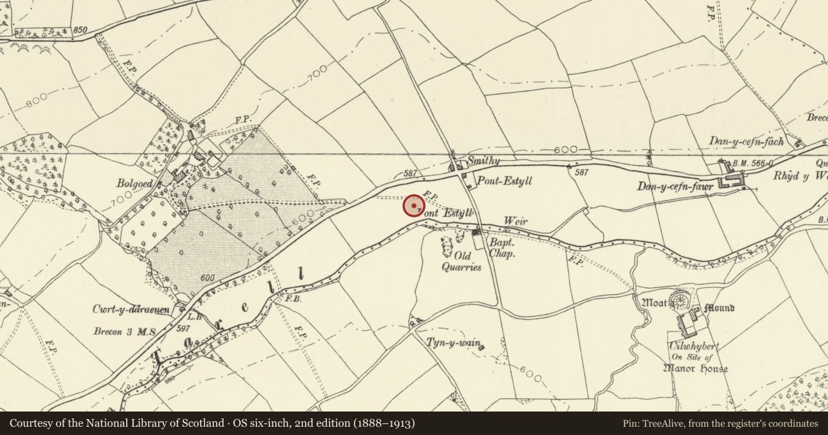 Ordnance Survey six-inch map, 2nd edition (1888–1913) covering the location of Earthwork 675m W of Dan-y-Cefn, Glyn Tarell, Powys, with a pin at the register's coordinates
