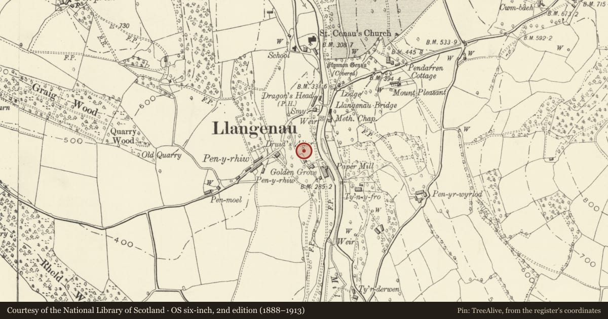 Ordnance Survey six-inch map, 2nd edition (1888–1913) covering the location of Standing Stone N of Golden Grove, The Vale of Grwyney, Powys, with a pin at the register's coordinates