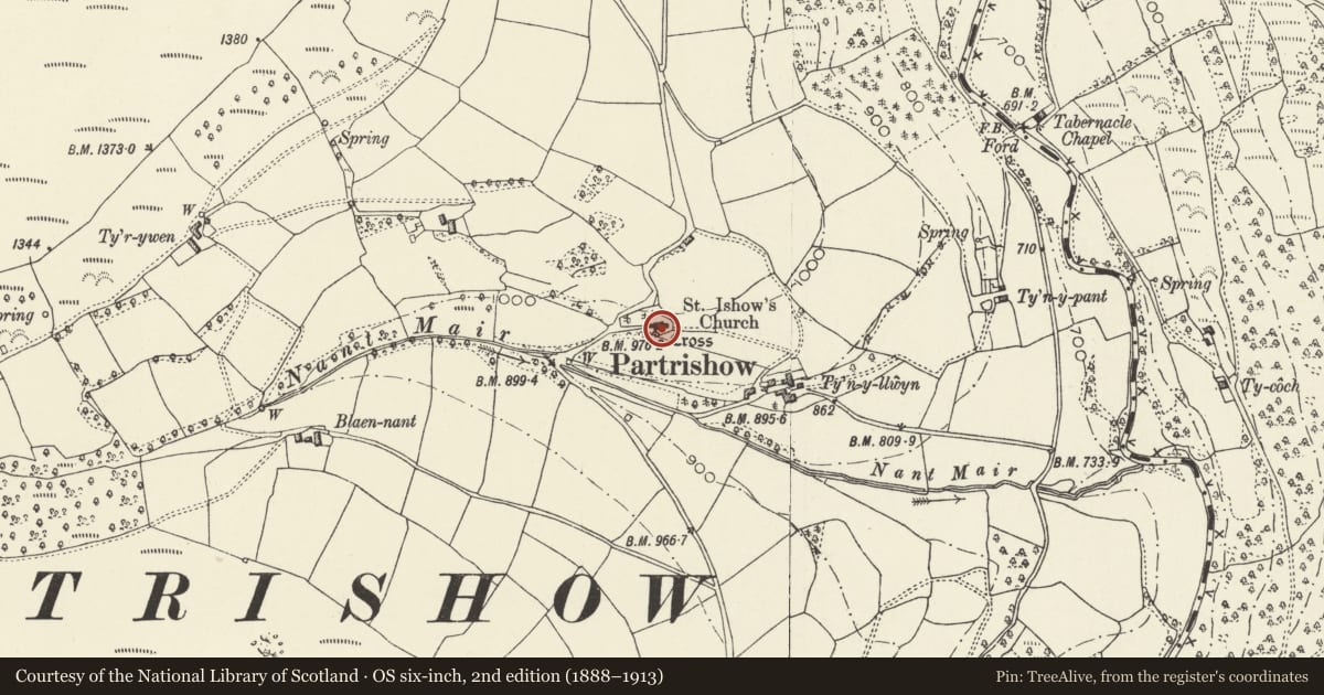Ordnance Survey six-inch map, 2nd edition (1888–1913) covering the location of Churchyard Cross, St Issau's Church, The Vale of Grwyney, Powys, with a pin at the register's coordinates